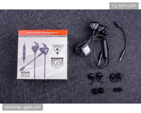 欧博旗舰厅登录线路快速连接技术，确保玩家随时随地无障碍进入游戏平台